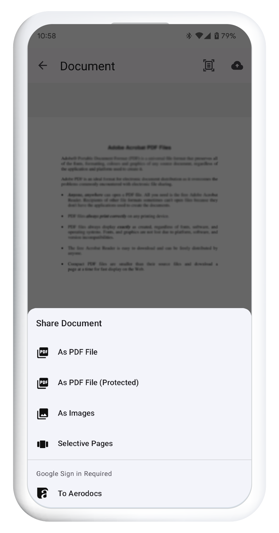 Aerodocs document detail
